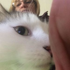 Meet your Posher, Carie